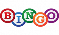 ارزانترین قیمت ثبت دامنه .bingo - ثبت دامنه .bingo ارزان بازی بینگو