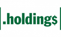 ارزانترین قیمت ثبت دامنه .holdings - ثبت دامنه .holdings ارزان هلدینگ مجموعه شرکت کسب و کار مالی اعتباری